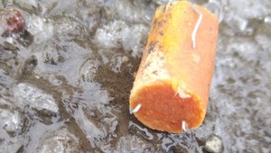 V Snine našli párky s ihlami a drôtmi. Niekto chcel ublížiť zvieratám