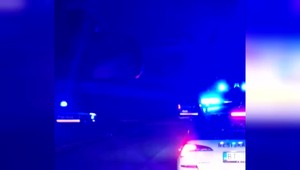 Razia v hlavnom meste: V ubytovni na Vajnorskej zasahovali desiatky policajtov