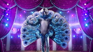 Páv odhalil svoju identitu! TÁTO celebrita bola pod maskou!