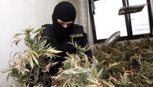 VIDEO: Vojna dílerom! Bánoveckí policajti zatýkali