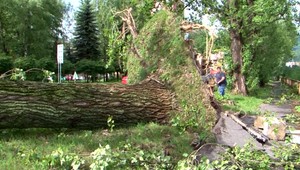 Problémy na cestách, polámané stromy a zatopené pivnice. Búrka zamestnala viac ako 350 hasičov