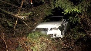 Mladík na luxusnom aute nezvládol riadenie. So štyrmi spolujazdcami skončil v rokline