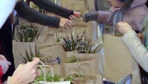 Proti smogu bojujú črepníkovými kvetmi. Rozdávajú ich zadarmo