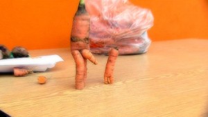 Pavol našiel v záhrade penis. Mrkva mu vyrazila dych