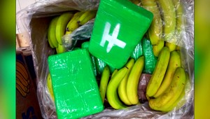 Zadržali rekordnú zásielku kokaínu: Drogy ukryli v kontajneri s banánmi