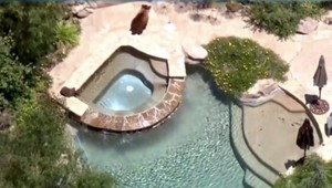 Medveď aj s mláďaťom sa zatúlali na dvor rodinného domu. Neodolali ani bazénu