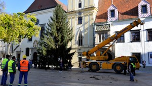 Na Hlavnom námestí v Bratislave už je vianočný stromček