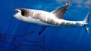 Umelec oživil kresby po dvadsiatich rokoch