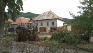 Meteorológovia varujú! V piatok príde víchrica!