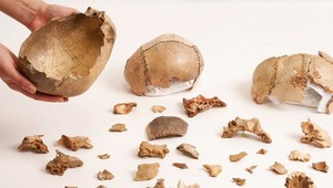 Horor: Konzumácia mŕtvych namiesto ich pochovávania