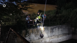 Vysilený bobor bojoval o život v záchytnej jame. Zachránila ho všímavosť detí