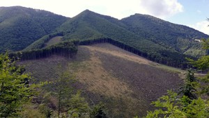 Ministerstvo ide do boja s nelegálnou ťažbou v národných parkoch. Nahlásiť ju bude môcť každý