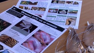 Colníci upozorňujú dovolenkárov: TIETO suveníry si z dovolenky zobrať nemôžete