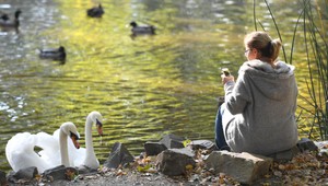 Slnečné dni pokračujú. Martina na bielom koni tento rok nečakajte