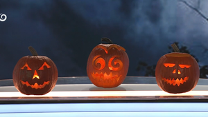 Jojkárske Noviny moderovali TEKVICE! Valábika potešilo, že sa nezmenil na BRAMBORA