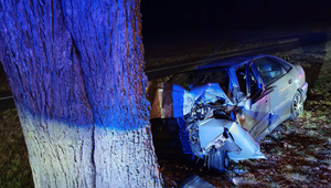 Na slovenských cestách zomrelo tento rok 225 ľudí, oproti vlaňajšku ide o pokles