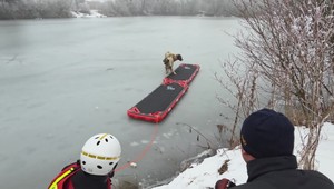 Dvojica psov uviazla na zamrznutom jazere: Z ľadovej pasce ich vyslobodili hasiči