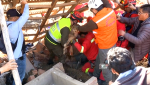 Po ničivých zosuvoch pôdy našli záchranári v troskách domu psa. Na záchranu čakal niekoľko dní