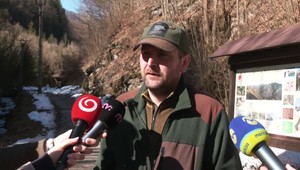 Označovanie stromov sa zmenilo na boj o prežitie: Lesník Martin opísal priebeh nebezpečného stretnutia s medvedicou