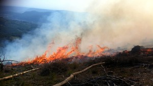 AUTENTICKÉ ZÁBERY. Pri Betliari horí les, škody budú veľké
