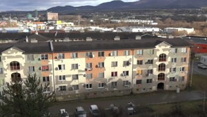 V uliciach mesta na východe Slovenska sa potulovalo niekoľko diviakov