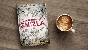 Strhujúci psychotriler: Jednoducho zmizla