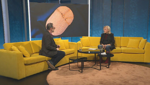 Rozhovory 24: Najkrehkejšie obdobie roka