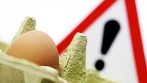 Na Slovensku našli podozrivé vajcia