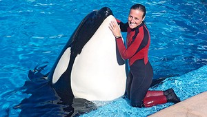 Kosatka zabila počas vystúpenia trénerku