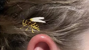 Fantastická správa: Génová terapia umožnila nepočujúcemu dievčatku počuť!