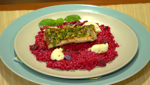 Cviklové rizoto s grilovaným zubáčom v pistáciovej kruste