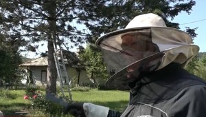 V maringotke pri Prešove zhorelo množstvo úľov so včelami. Po požiari sa udomácnili pri rodinnom dome