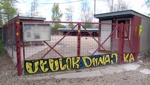 Svojské pravidlá? Psa z útulku v Komárne niektorí žiadajú márne