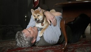 Hačikó mánia: Najvernejšieho psa chce mať doma stále viac Slovákov