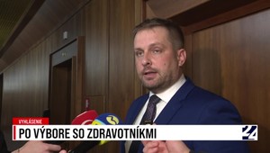 Tlačová beseda Kamila Šaška po výbore so zdravotníkmi