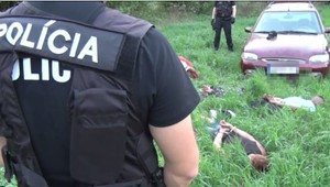 Šestica zlodejov neušla ďaleko. Na stope im bol Thor