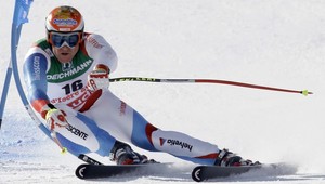 Cucheho vavrín pre zraneného Albrechta