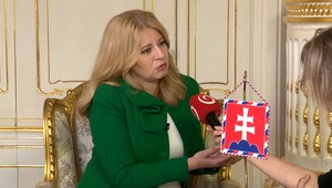 Prezidentka Čaputová: Na ústavnom súde som napadla zákon, nie Igora Matoviča