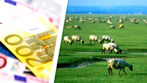 V Európe nám hrozí hanba. V hre je 572-tisíc eur