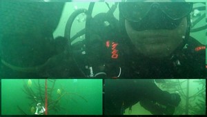 Netradičný Silvester. Kraľovanskí potápači si šampanské otvorili pod ľadom