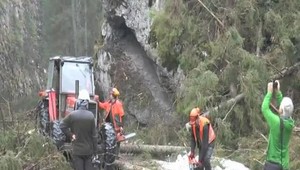 FOTO: 15 rokov po ničivej víchrici v Tatrách. Pozrite sa, ako vyzerá tatranská príroda teraz