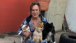 Vysťahovali ho z domu! Hviezdny herec napriek tomu zúri, že sa mu zbierali ľudia na nájom!