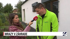 Rozhovory 24 o mrazoch v záhrade