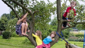 Zo stromov nepadá len ovocie, ale aj deti!