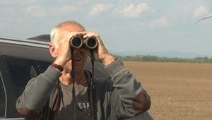 Vzácnym druhom hrozí vyhynutie. Prispievajú k tomu mnohí Bratislavčania najmä počas týchto dní