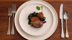 Holub s červenou repou a hroznom