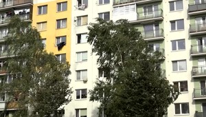 Slovensko trápi silný vietor 1.stupňa. Toto sú odporúčania hasičov a polície