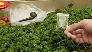 Vedci už vedia, čo robí z mladých ľudí narkomanov