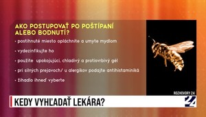 Rozhovory 24: Bodnutie hmyzom, kedy zavolať lekára?