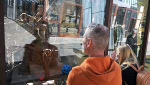 ZOO otvárajú brány! Uvoľňujú sa opatrenia proti slintačke a krívačke